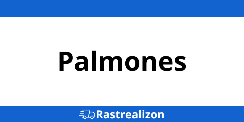 Teléfono gratuito Oficina central Palmones